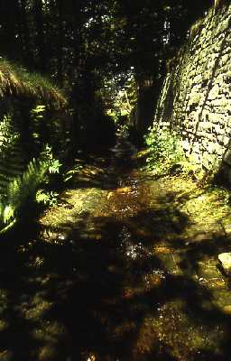 Watercourse, Allenheads.