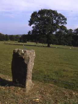 Roman altar at Newbrough Lodge.