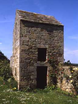 Dovecote and pigsty at Allerwash Buildings.