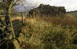 Ruined bastles at Hesley Hirst, Wark. Photo by Peter Ryder.