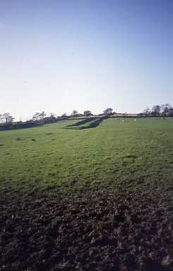 Hadrian's Wall at Black Carts. Photo by Northumberland County Council.