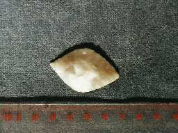 Neolithic arrowhead from Blanchland Moor. Photo Northumberland County Council, 1996.