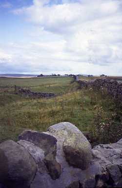 View across Stagshaw Bank. Photo by Northumberland County Council.