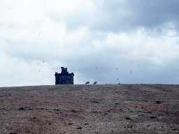 Bavington Folly.
Photo by Harry Rowland.