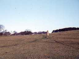 Standing stone near Swinburne Castle.
Photo by Harry Rowland.