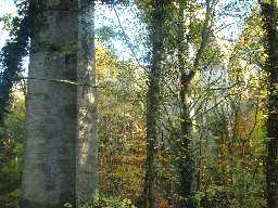 Pontburn Viaduct, Hamsterley Mill © DCC 02/11/2007