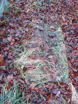 Medieval Grave Cover (2) 2007