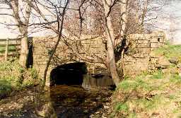 Bridge over Newhouse Burn, Greencroft 1995