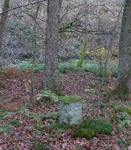 Boundary Stone, River Derwent (NZ 0530 4958) in its setting 2007