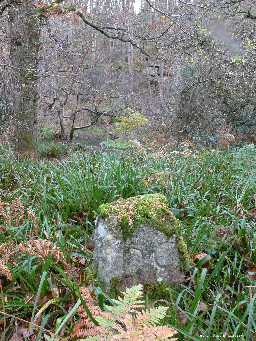 Boundary Stone, River Derwent (NZ 0534 4957) (west side) in its setting 2007