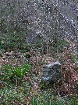 Boundary Stone, River Derwent, (NZ 0523 4930) (west side) in its setting  2007