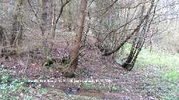 Roman bridge remains at Stockley Gill © DCC 2006
