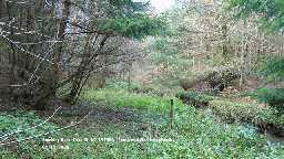 Roman bridge remains at Stockley Gill © DCC 2006