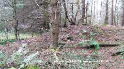 Roman bridge remains at Stockley Gill © DCC 2006