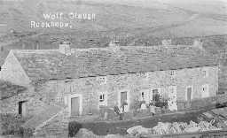 Row of Houses Wolfcleugh in 1901 1901