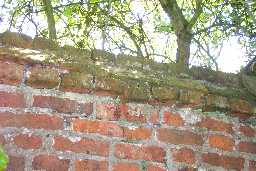 Garden Wall © DCC 2004