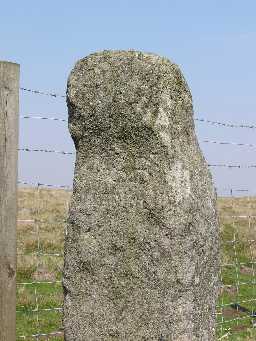 Rey Cross (detail) © DCC 2006