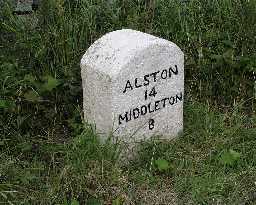 Milestone, B6277  south of Redwing Plantation  © DCC 2003