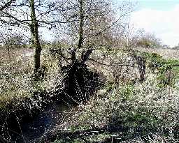 Headlam Packhorse Bridge, Headlam Green, Headlam