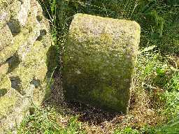 Boundary Stone,  Woodland 2005