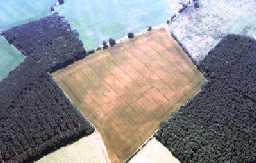 Langley Park, Park House (East) © DCC 2007