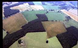 Langley Park, Park House (West) © DCC 2007