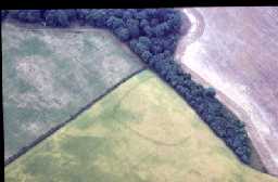 Bishop Middleham possible cropmarks@B.Vyner 2007