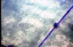 Bishop Middleham © B. Vyner 2007