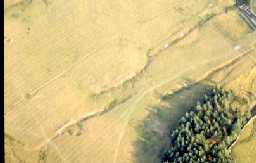 Stanhope, Newlandside © B. Vyner 2007