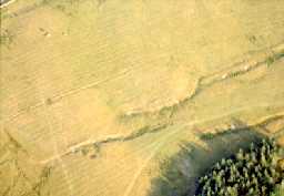 Stanhope, Newlandside © B. Vyner 2007