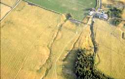 Stanhope, Newlandside © B. Vyner 2007