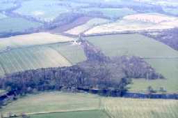 Low Dinsdale, The Ashes © B. Vyner 2007