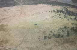 Holwick, Bracken Rigg © DCC 2001 Holwick, Bracken Rigg © DCC 2001