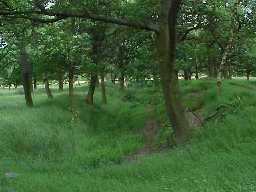 Castle Steads Rowley. Main enclosure ditch.  July 2001