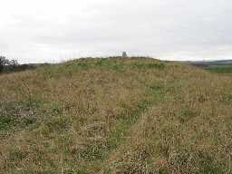 Possible round barrow, Batter Law (County Durham)
