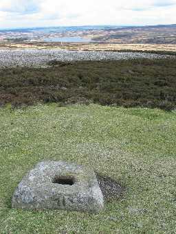 Stone base of Edmonbyers Cross, Muggleswick Common (County Durham)