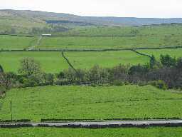 Remains of medieval hunting lodge, Eastgate (County Durham)