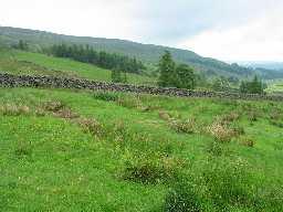 Possible Shieling, Elphatory Allotments, Middleton-in-Teesdale (County Durham)