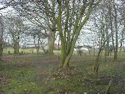 Site of the Church from the south-west.  February 2001