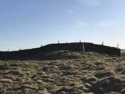 Emma Watson - photographer 18-Jan-2020