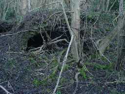 Another derelict coke oven at Hedleyhope 13/1/05