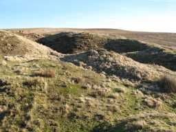 Marden Quarry, Stanhope 11-Feb-2008