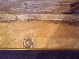 Photos of Cup marked stone at Seaham 2010