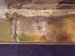 Photos of Cup marked stone at Seaham 2010