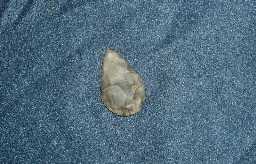 EMAILS RE:Arrowhead 2011 EMAILS RE:Arrowhead 2011