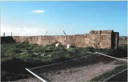 Wall adjacent to farm labourers' cottages 04/2011