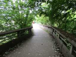View across Kingsgate Bridge from the peninsula 2016