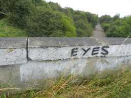 Graffiti on bridge 22/07/16