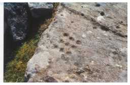 9 cup-markings in grid pattern, with other nearby cups, Osmaril Gill, Barningham Moor 1980-1997