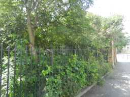 Greenery for Daniel Adamson's Coach House, Shildon, 2016 2016